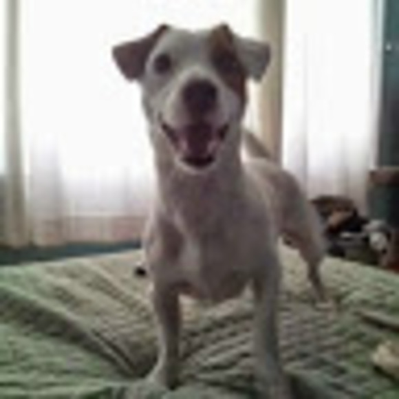 Meet your Posher, Michelle - Picture 1 of 1